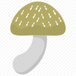 绿菇