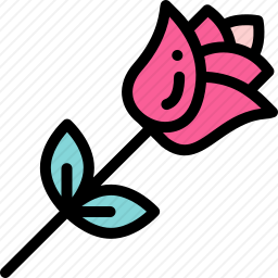 玫瑰