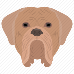斗牛犬