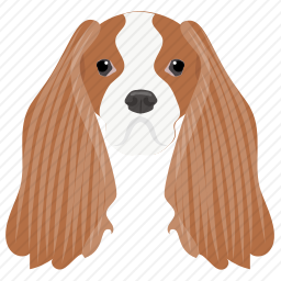 可卡犬