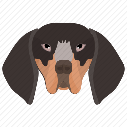 罗威纳犬