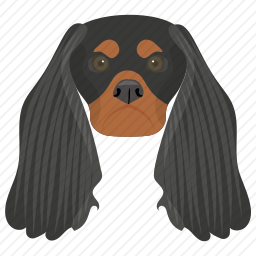 <em>可卡犬</em>