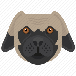 比特犬