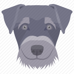 斯塔福德郡公牛犬