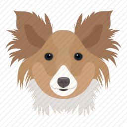 约克郡犬