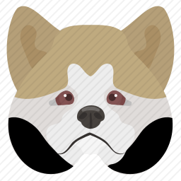 <em>柴犬</em>