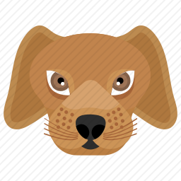 比格犬