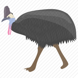 鹤鸵