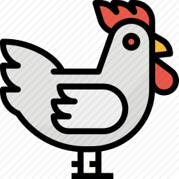 <em>鸡</em>