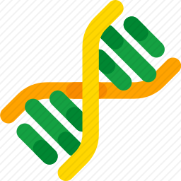 DNA
