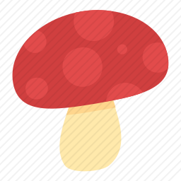 <em>蘑菇</em>