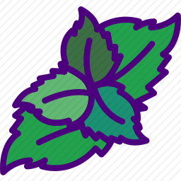 薄荷