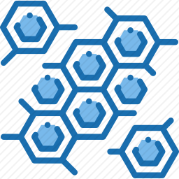 分子