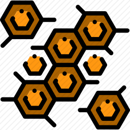 分子