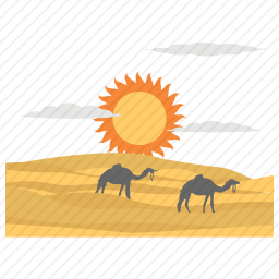 沙漠<em>骆驼</em>