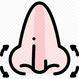 <em>鼻子</em>