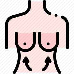 乳房