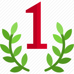 奖