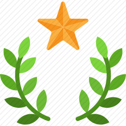 奖