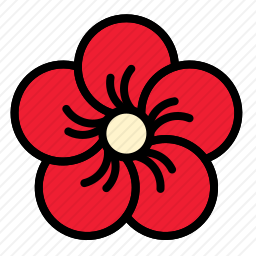 花朵