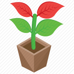 植物盆栽