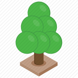 山毛榉