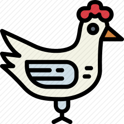 <em>鸡</em>
