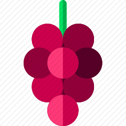 <em>葡萄</em>