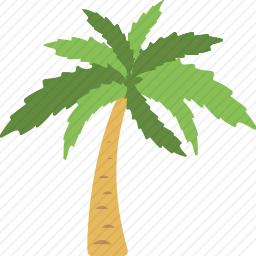 <em>棕榈树</em>