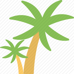 棕榈树
