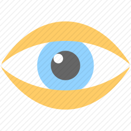 眼睛
