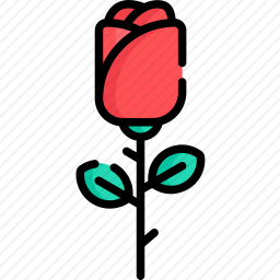 玫瑰