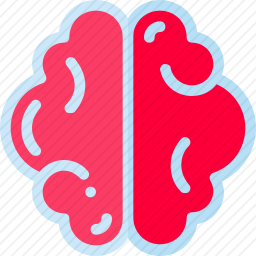<em>大脑</em>