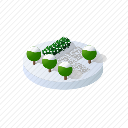 冬季树木