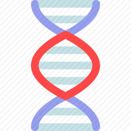 DNA
