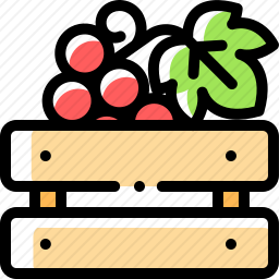 <em>葡萄</em>