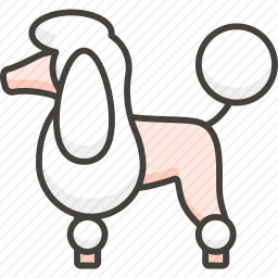 贵宾犬