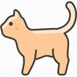 猫