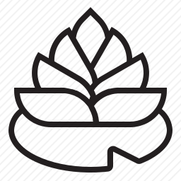 莲花