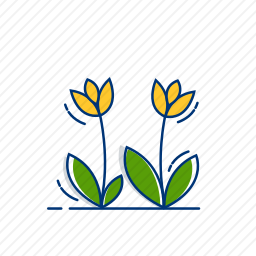植株