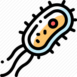 细菌