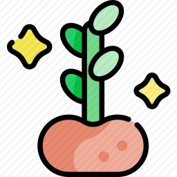 植物