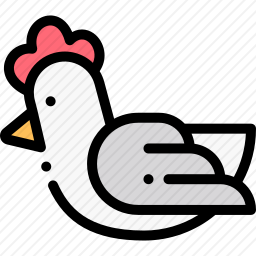 <em>鸡</em>