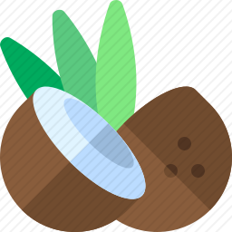 <em>椰子</em>