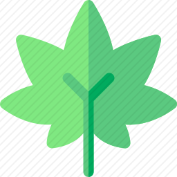 大麻