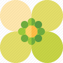 庭荠