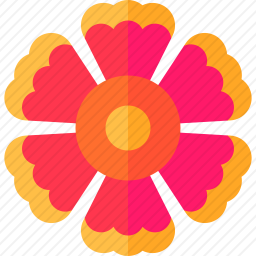 <em>木槿花</em>