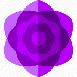 <em>大丽花</em>