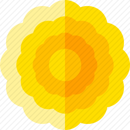<em>菊花</em>