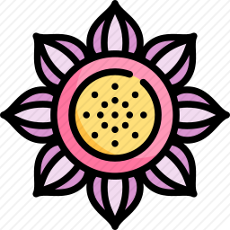 莲花